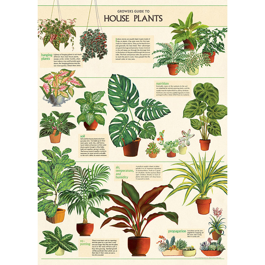 Cavallini Vintage Poster &amp; Frame Kit Collection