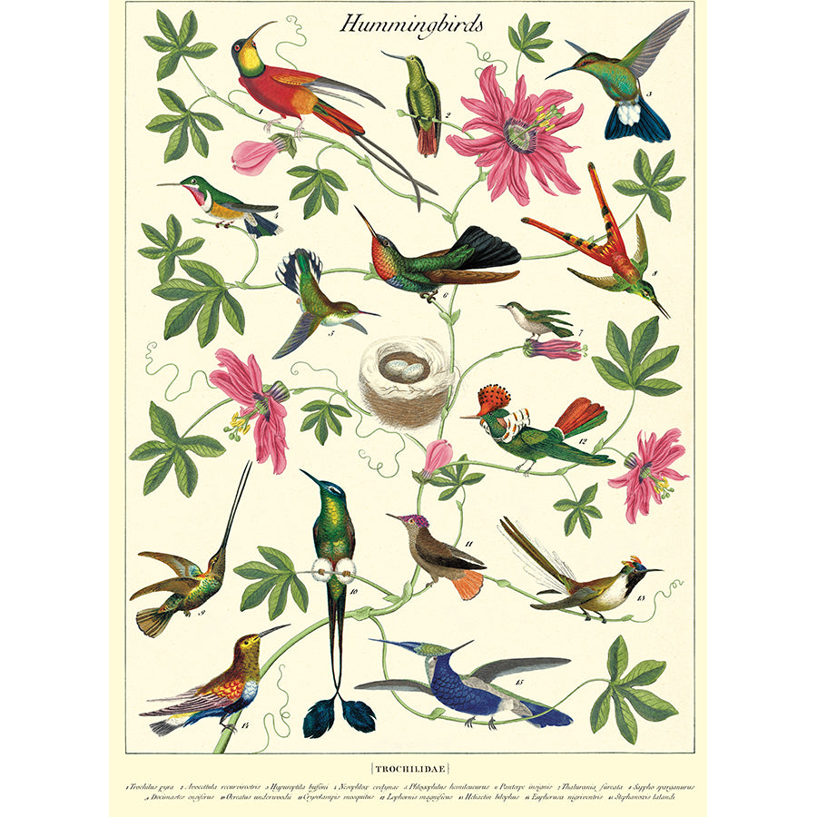 Cavallini Vintage Poster &amp; Frame Kit Collection
