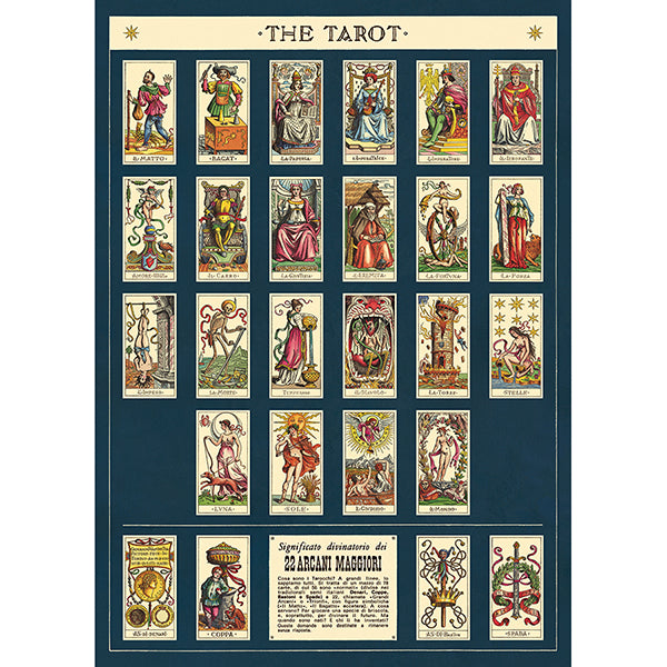 Cavallini Vintage Poster &amp; Frame Kit Collection
