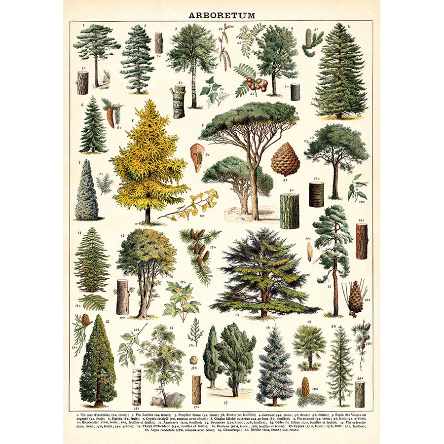 Cavallini Vintage Poster &amp; Frame Kit Collection
